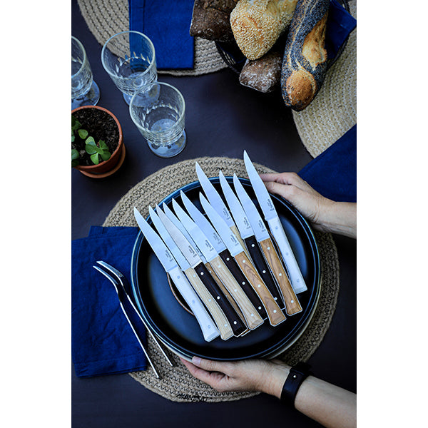 Coffret de 4 couteaux de table à lame lisse Facette olivier  Opinel - Mathon - 5