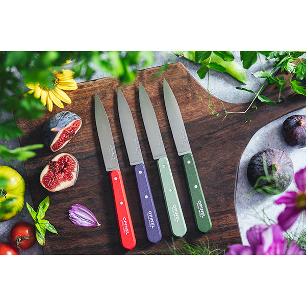 Coffret 4 couteaux d’office Essentiels Paysage  Opinel - Mathon - 2