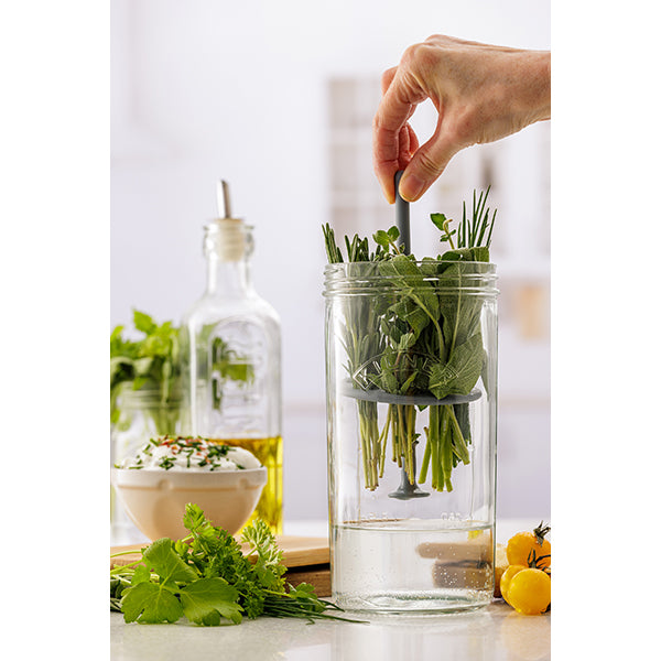 Set de préservation pour herbes en verre et silicone 1 L Kilner - Mathon - 4