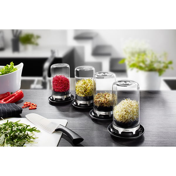 Mini-serre en verre pour jeunes pousses Bivita Gefu - Mathon - 2
