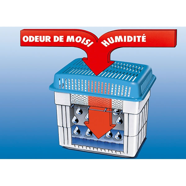 Absorbeur d