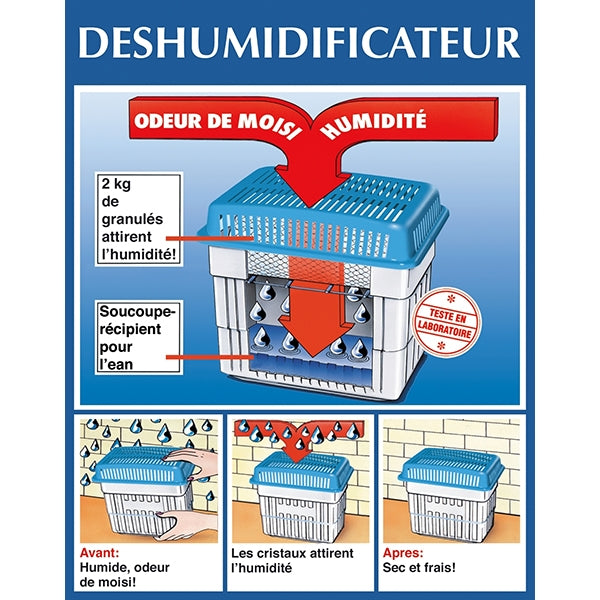 Absorbeur d